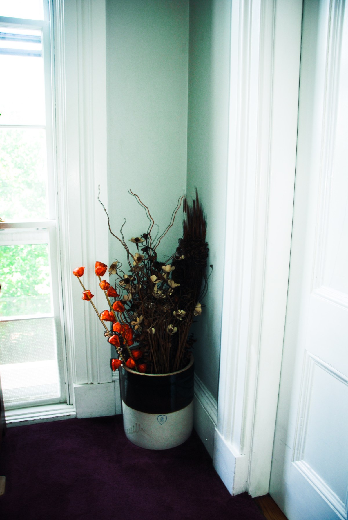 I’m Going to Name my First Born Daughter&nbsp;Naomi